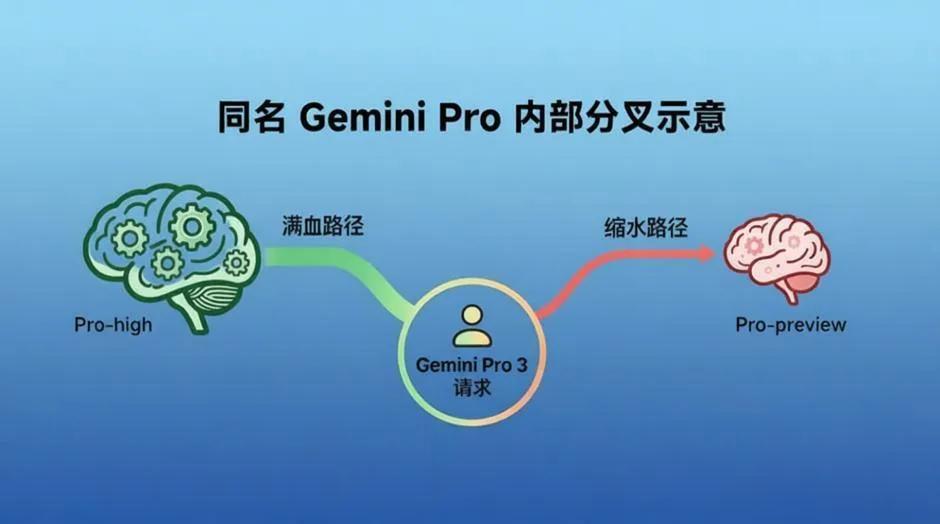 上传的图片