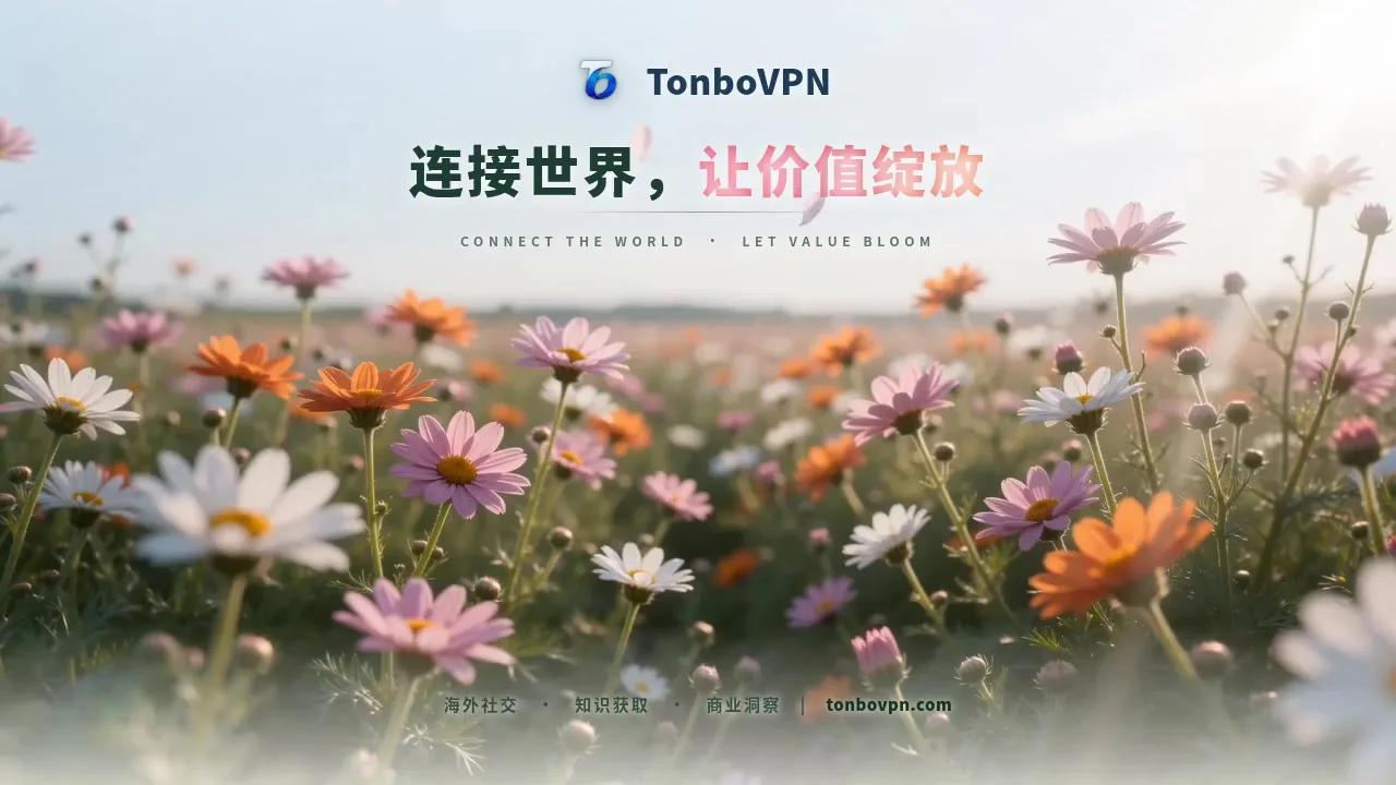付费 VPN 怎么选?住宅IP、原生IP、VPS 与人工支持看这几项 - 通博VPN