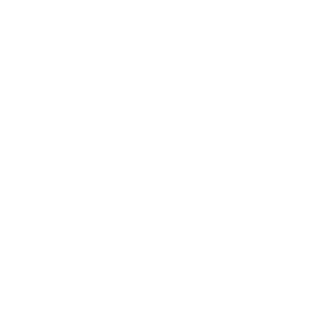 Copilot